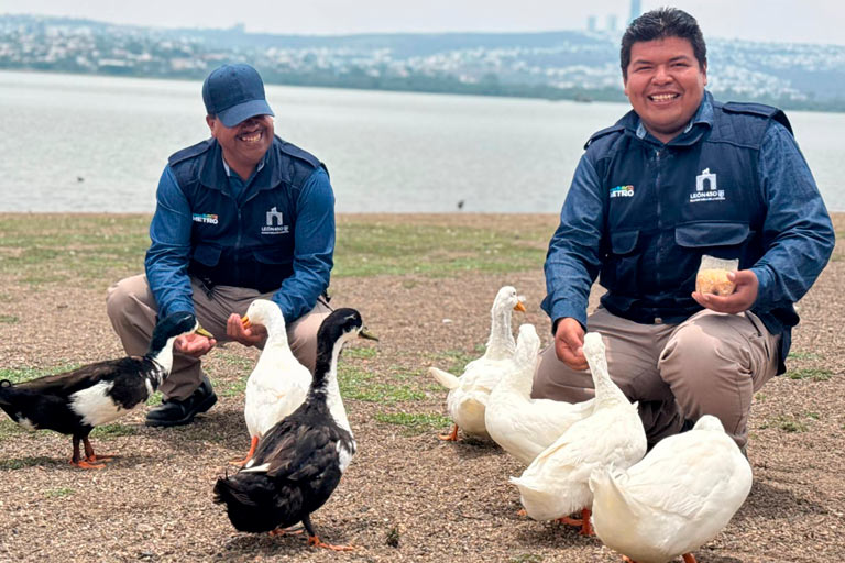 Un guardaparques realizando labores de monitoreo ambiental y vigilancia en los senderos del Parque Metropolitano de León, Guanajuato.