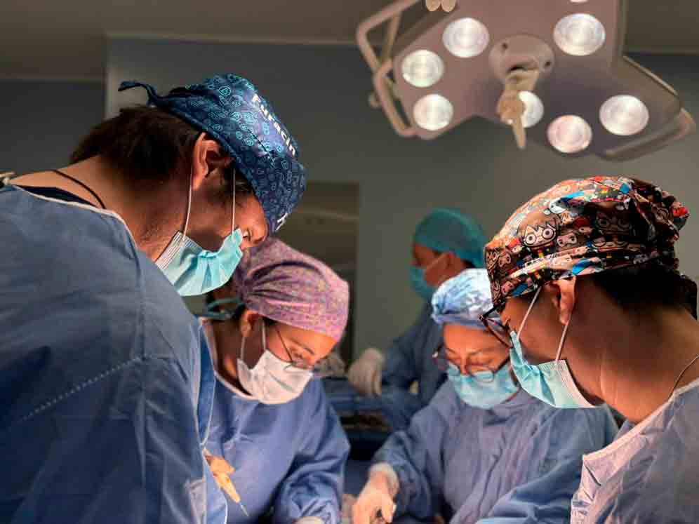 Logra Hospital Regional No. 58 del IMSS León primer lugar nacional en donación de órganos