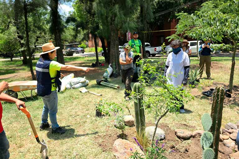Crean jardín mexicano en el Parque Haciendas del Rosario para impulsar la biodiversidad